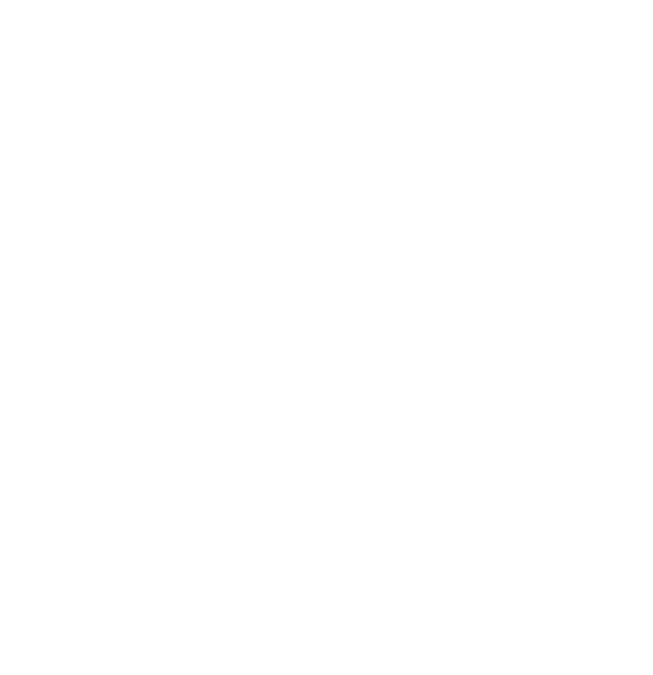 Graf Straßenreinigung - Kehrdienste - Symbol